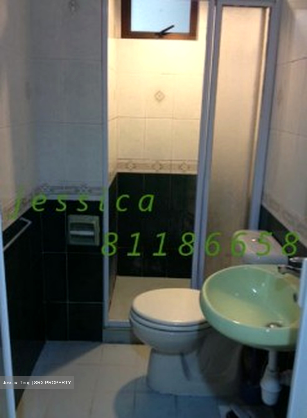 The Tanamera (D16), Condominium #481031651